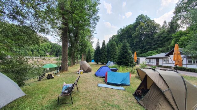 Nachtangeln 2022 Waldheim