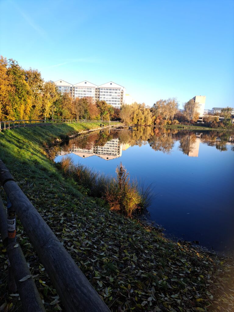 Umwelttag 2024