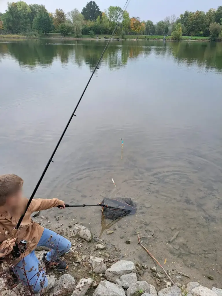 Junge kescht einen gefangenen Fisch im flachen Uferwasser