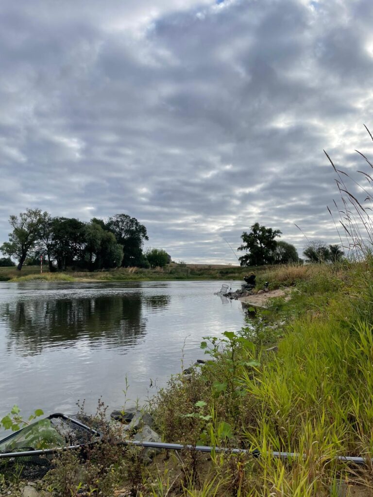 Angler mit erhobener Rute am Ufer der Elbe bei Torgau