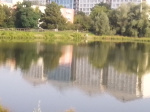 925.jpg