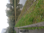 847.jpg